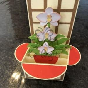 Cardbox orchidee